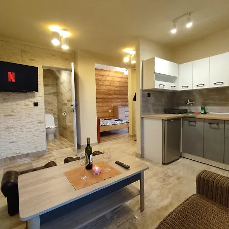 Apartament Sobczakówka Zakopane Zewnętrze zdjęcie